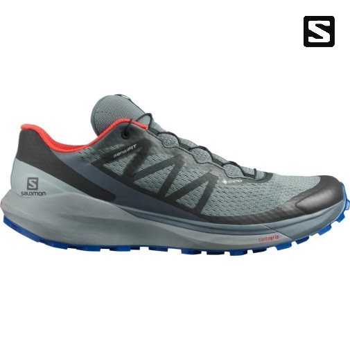 Sapatilhas Trail Running Salomon Sense Ride 4 GTX Invisible Fit Masculino Cinzentas | PT J01329